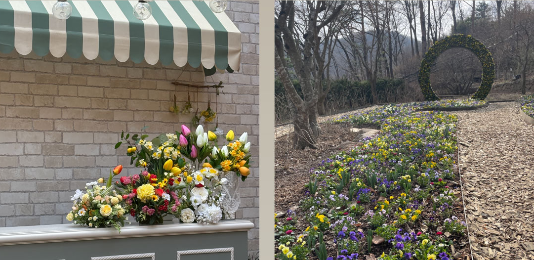 2025 화담숲 예약 방법 & 꿀팁 총정리 - 운영시간·요금·환불까지 3