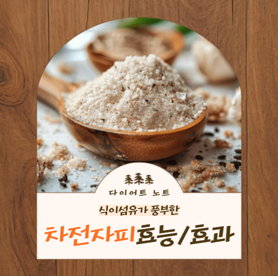 다이어트 노트: 식이섬유가 풍부한 차전자피 효능 및 효과