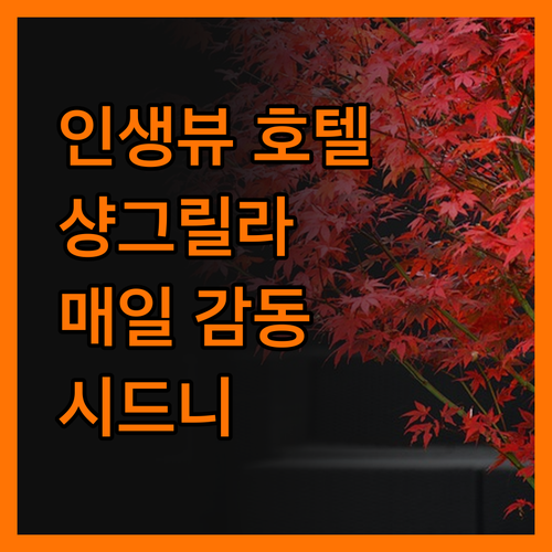 샹그릴라 시드니, 인생 뷰! 매일 아