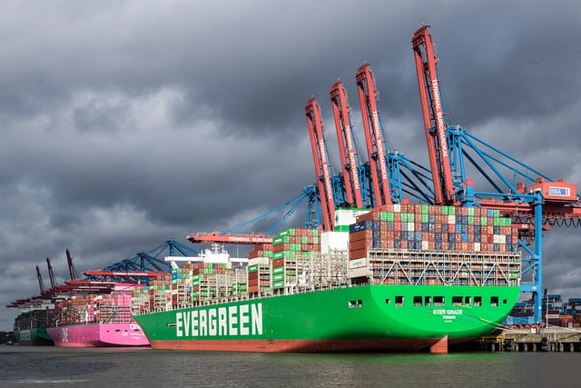 비트버니 퀴즈 정답 4월15일 사용법