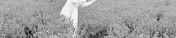 라벤더 꽃말 = '풍부한 향기'