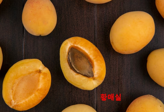 황매실과살구 구별