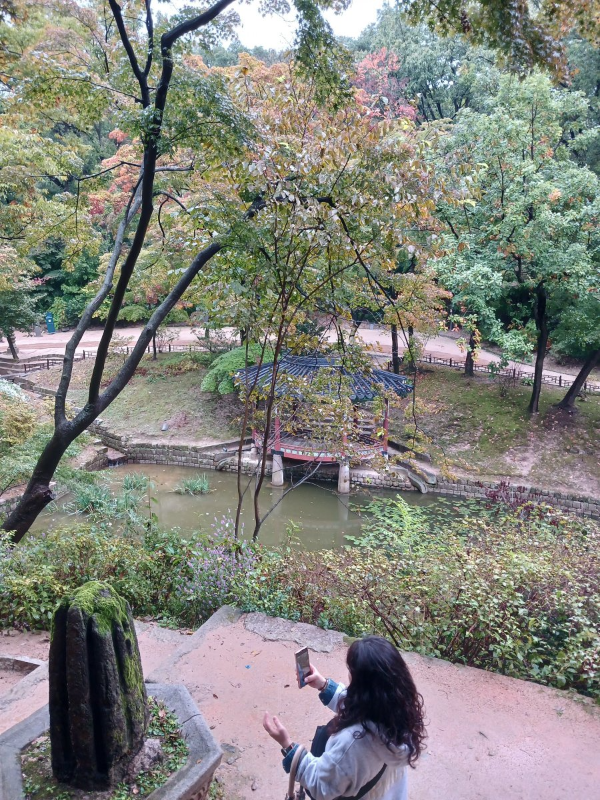 승재정에서 바라보는 풍경