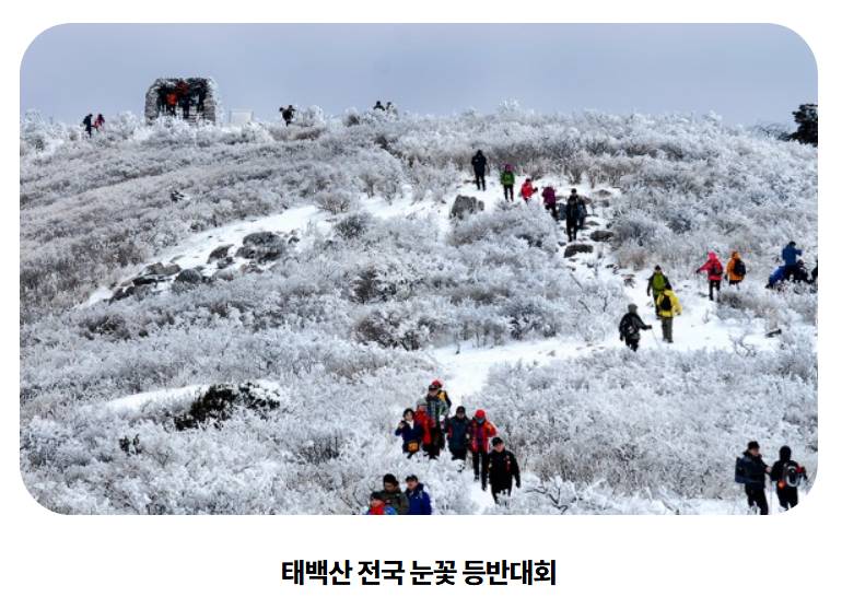 태백산 눈축제 프로그램2