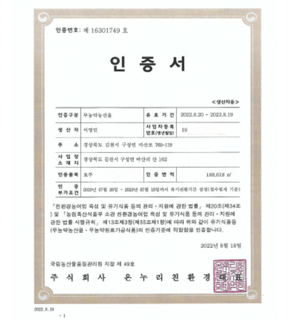 생방송오늘저녁 김천 호두농장