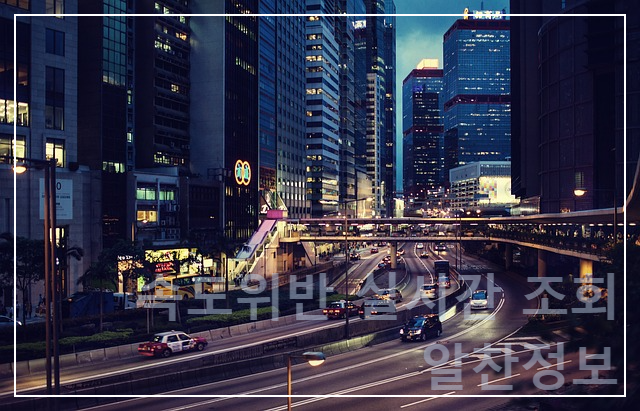 속도위반 실시간 조회 방법