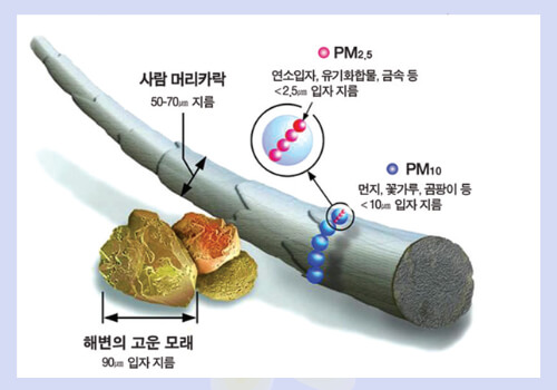미세먼지와 황사 대처하기 올바른 공기청정기 사용법