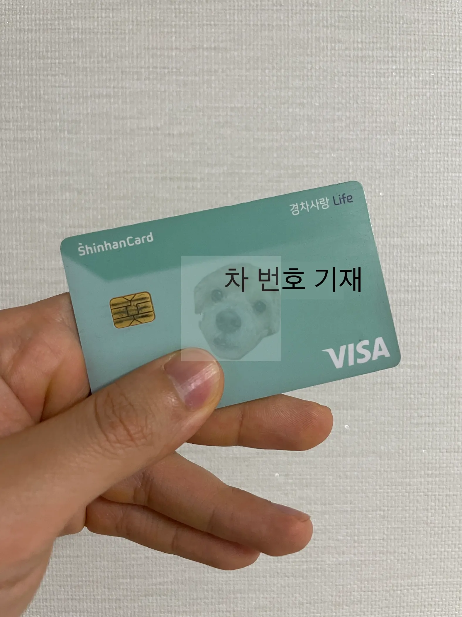 내가 사용하는 경차 유류세 환급카드 신한 경차사랑Life 카드