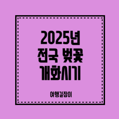2025년 전국 벚꽃 개화시기 예상날짜, 놓치면 후회할 벚꽃명소