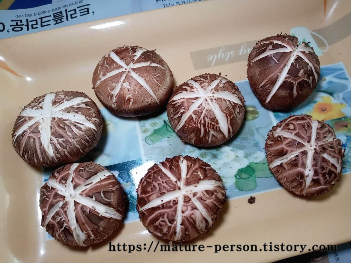 표고버섯 칼집내기