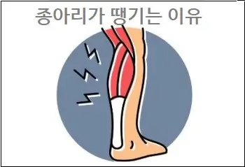 종아리가 땡기는 이유