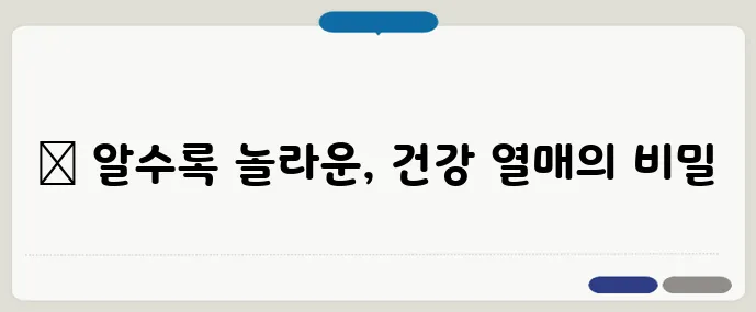 아보카도 효능 총정리 (2025 최신판)