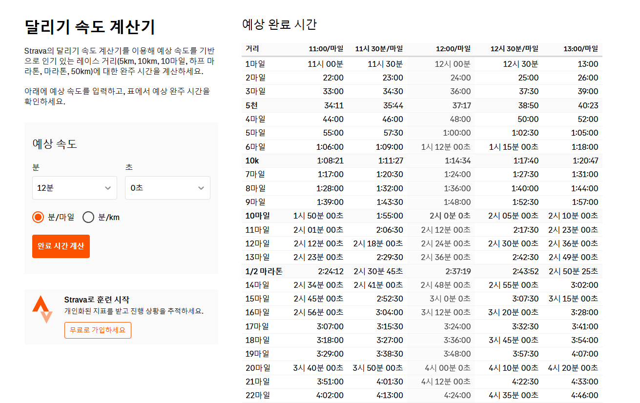 Intervals.icu에서 Critical Speed 및 달리기 분석 지표를 확인하는 예시 화면