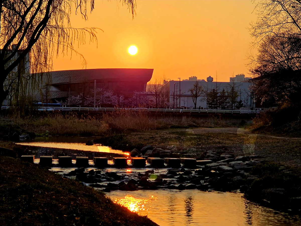 인천 벚꽃 명소 굴포천: 부평 청리단길 꼭 가봐야 할 사계절 감성 산책로