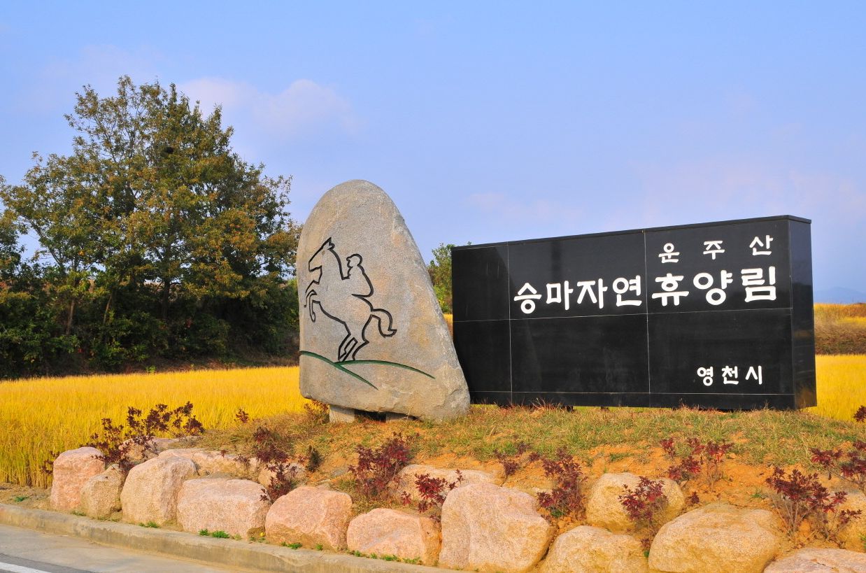 운주산승마자연휴양림