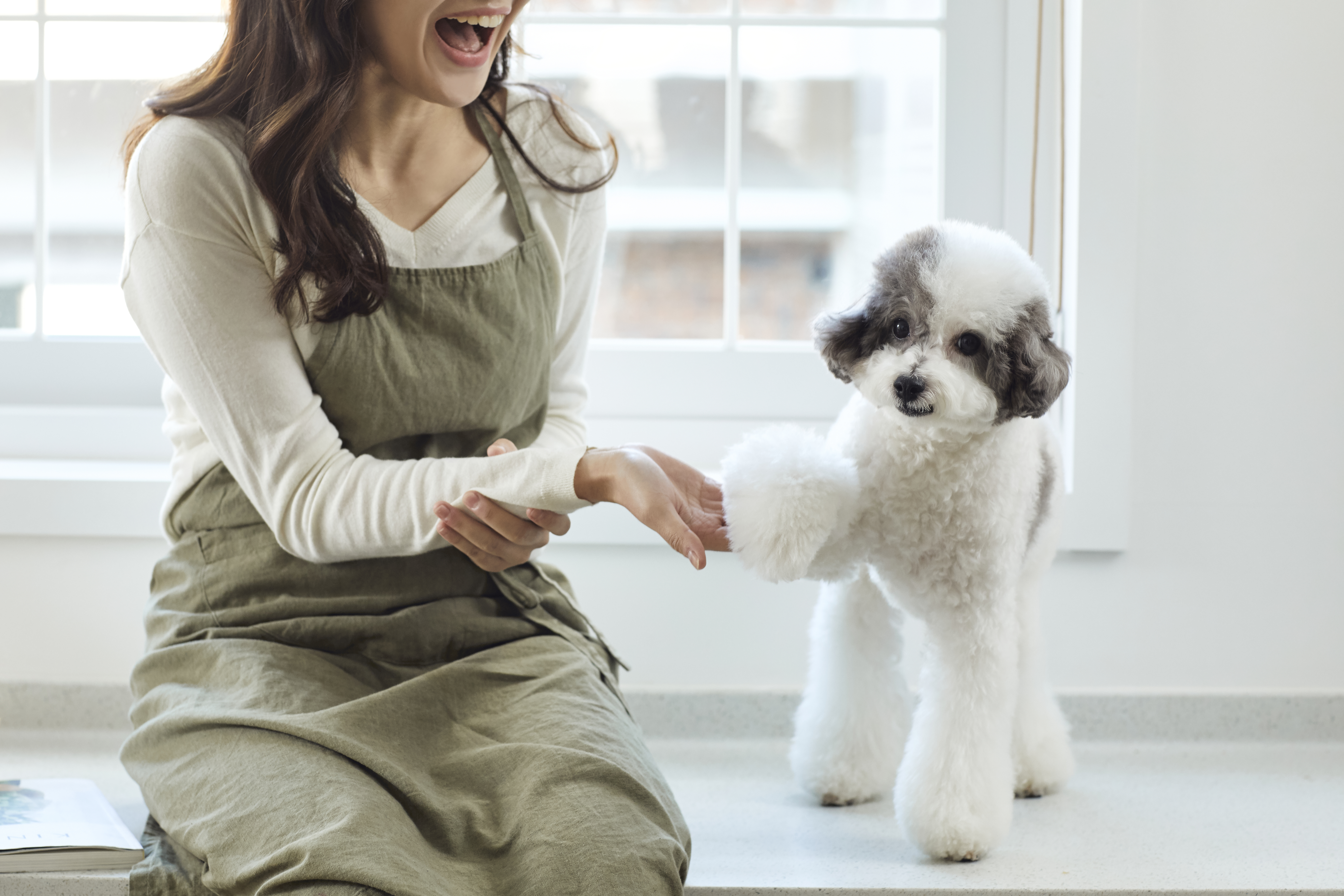 반려동물동반국내숙소