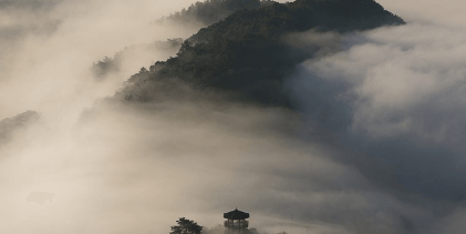 청와대 관람신청