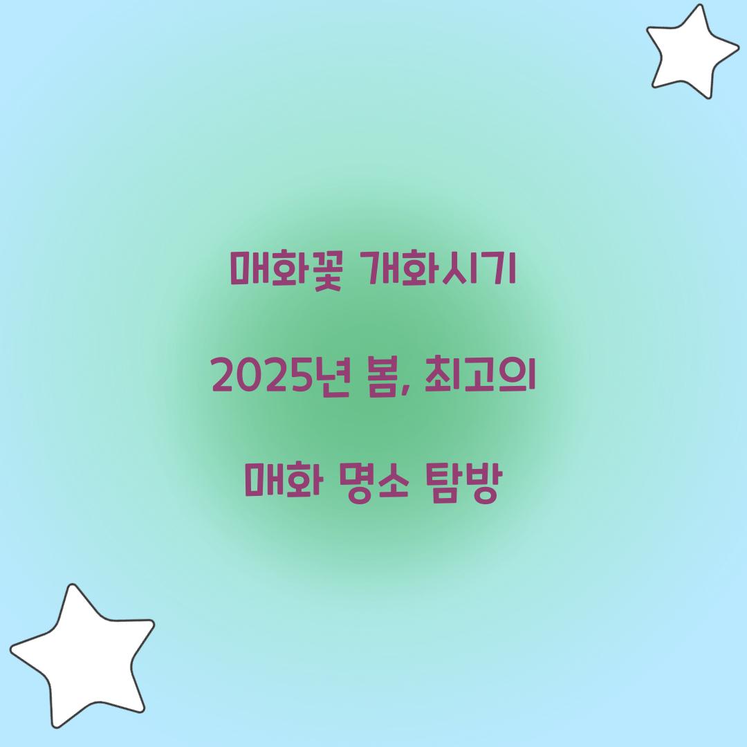 매화꽃 개화시기 2025