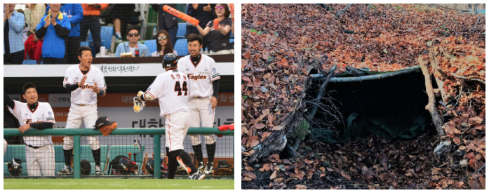 좌측은 야구의 덕아웃, 우측은 건축에서의 덕아웃