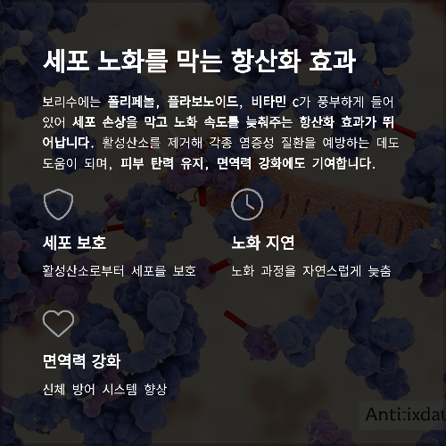 보리수 열매의 놀라운 효능과 효과, 제대로 알아보기