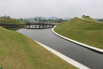 순천만 국가정원 여행 코스 전동카트 갈대밭 사진 포인트_15