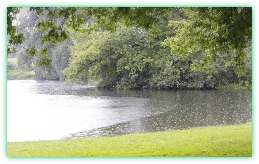 장마철 집안의 습기와 곰팡이 방지&amp;#44; 관리 및 제거 방법