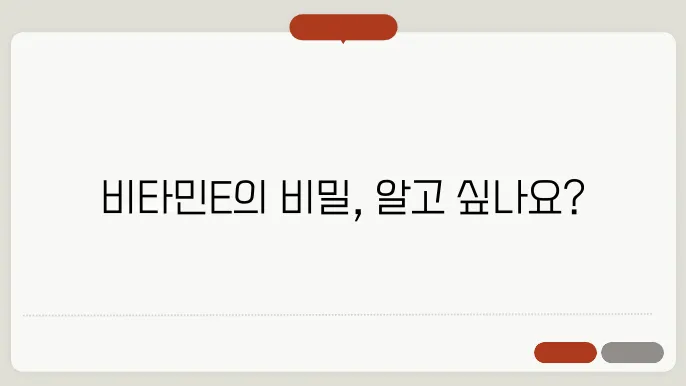 비타민E 많은 음식