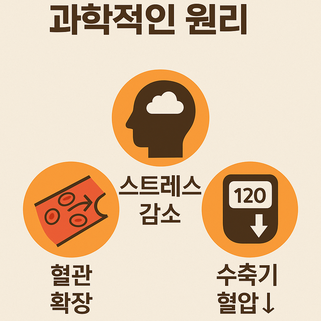 걷기 운동 전후의 혈압 변화 그래프, 수축기 혈압 안정