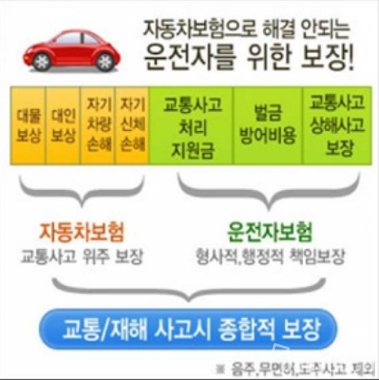 운전자보험이미지/사진