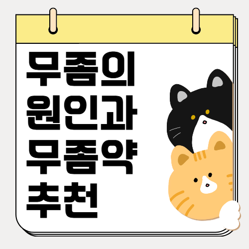 무좀 원인과 효과적인 치료 방법, 무좀약 추천