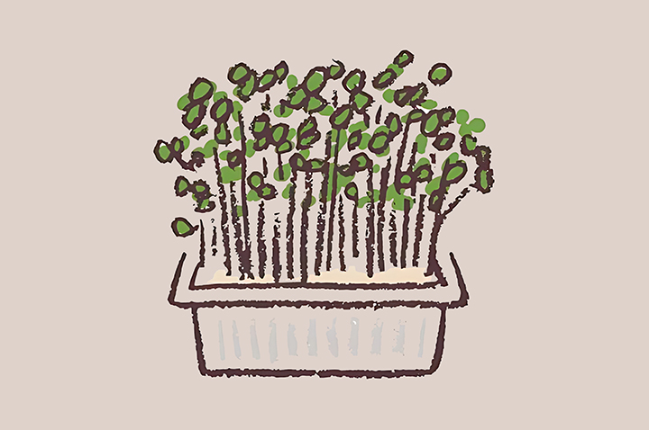 무순-하루-섭취-권장량