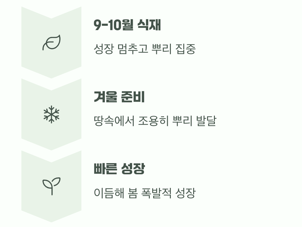 '가을 식재'의 장점: 앞서가는 성장