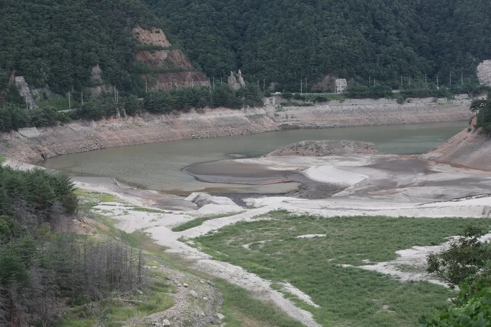 강릉 가뭄 특별재난지역 선포