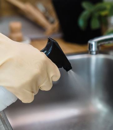 사용자 전문 가사도우미 제공