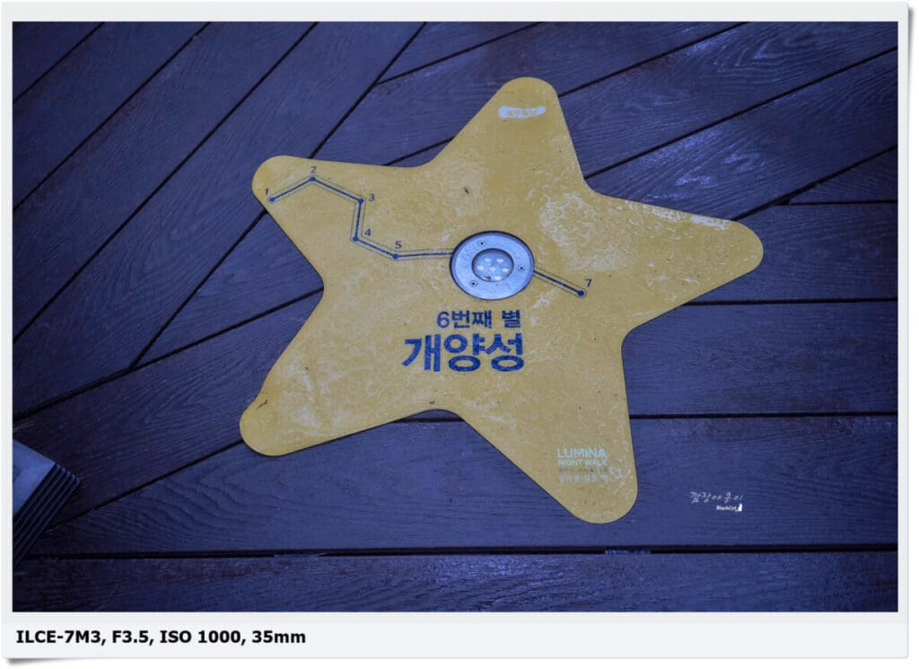 경주 엑스포대공원 화랑숲길 야간 조명
