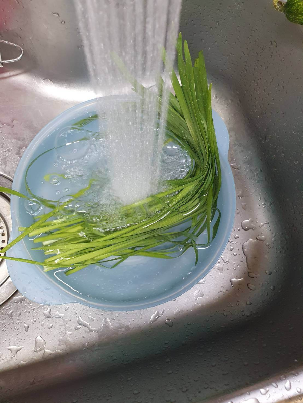 부추전 레시피 부추 씻는 사진