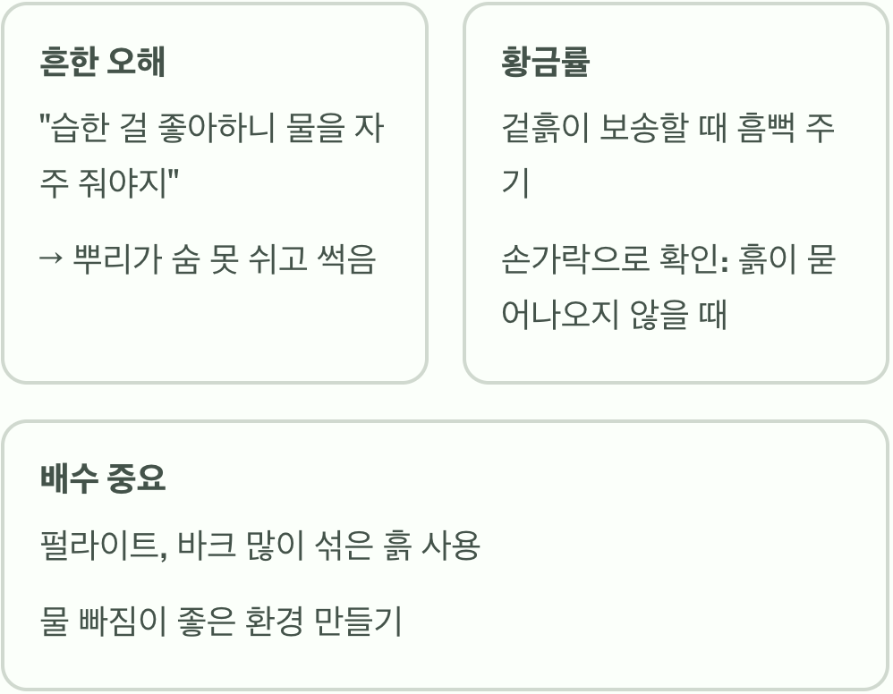 '과습'은 피하는 물주기의 기술