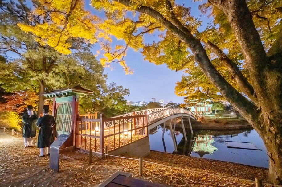 경복궁 별빛야행 행사 정보 야간 축제