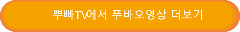 버튼