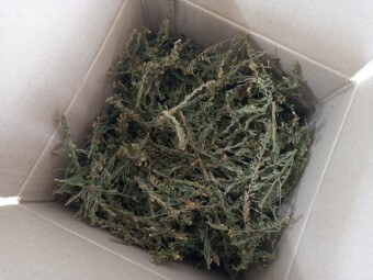 야관문 효능과 부작용 및 술 담그는 법