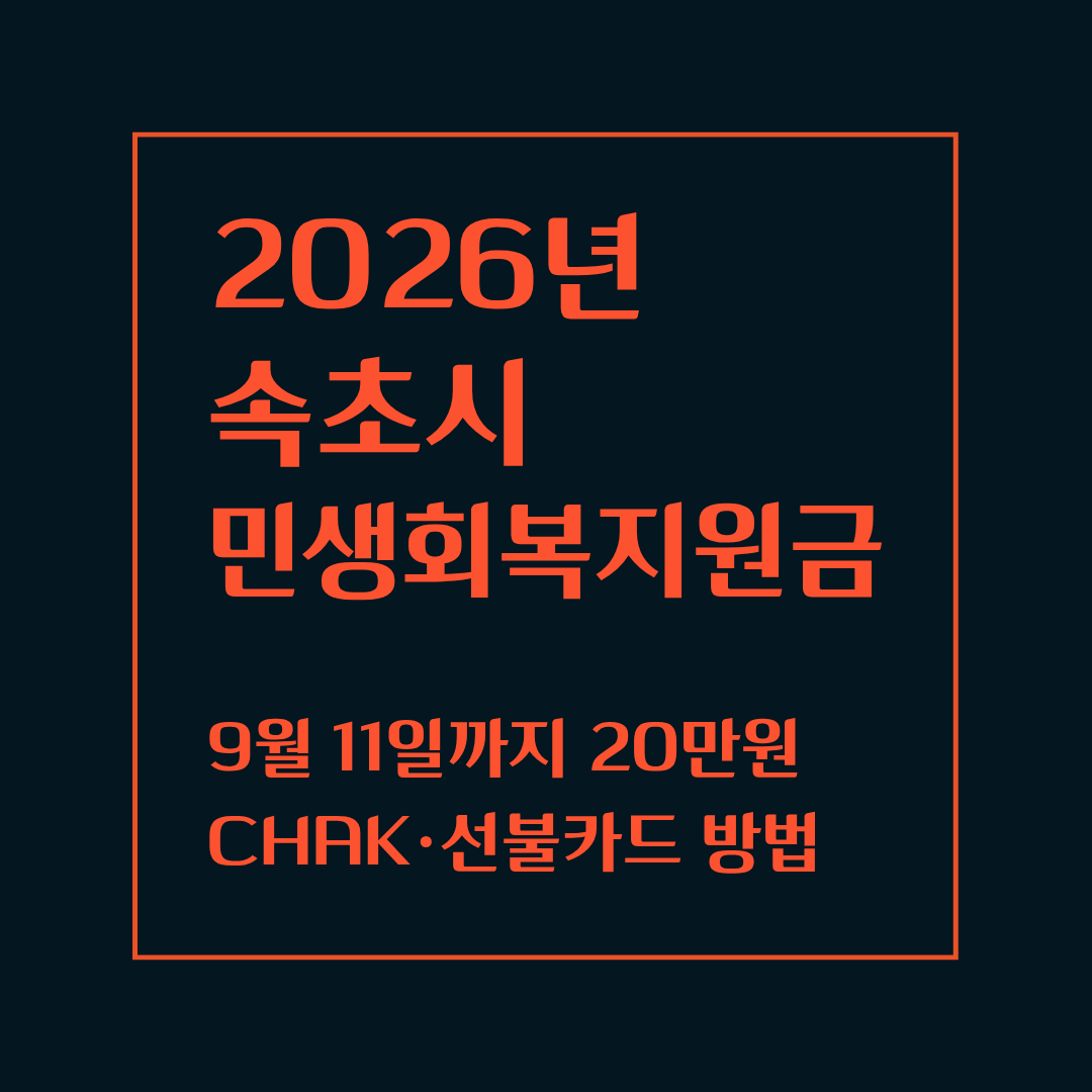 2026 속초시 민생회복지원금