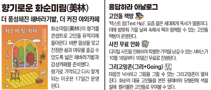 2024 화순 고인돌 가을꽃 축제 프로그램