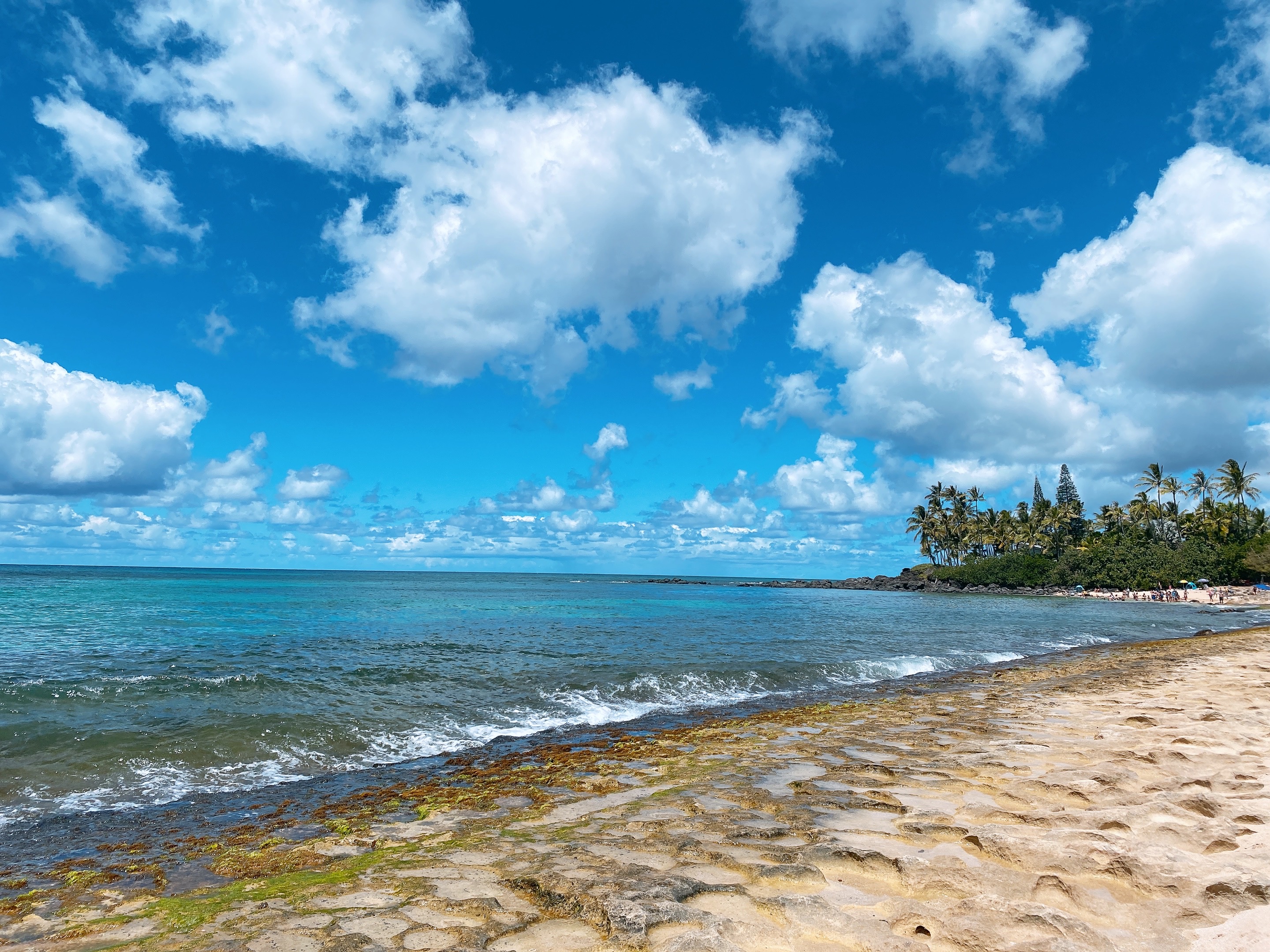 라니아케아비치