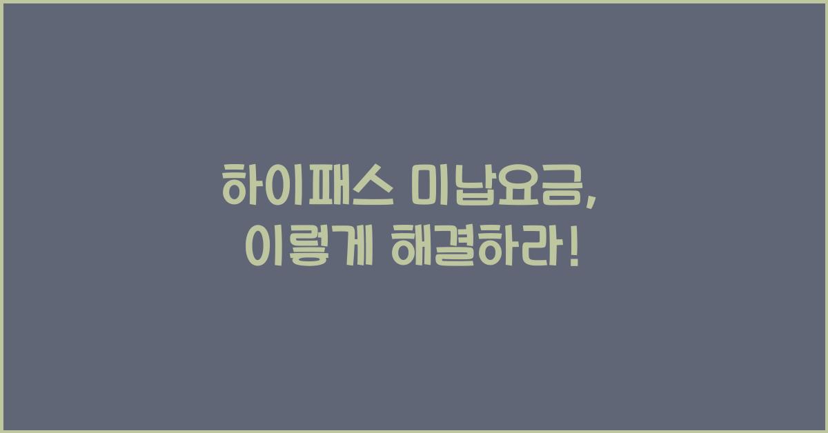 하이패스 미납요금
