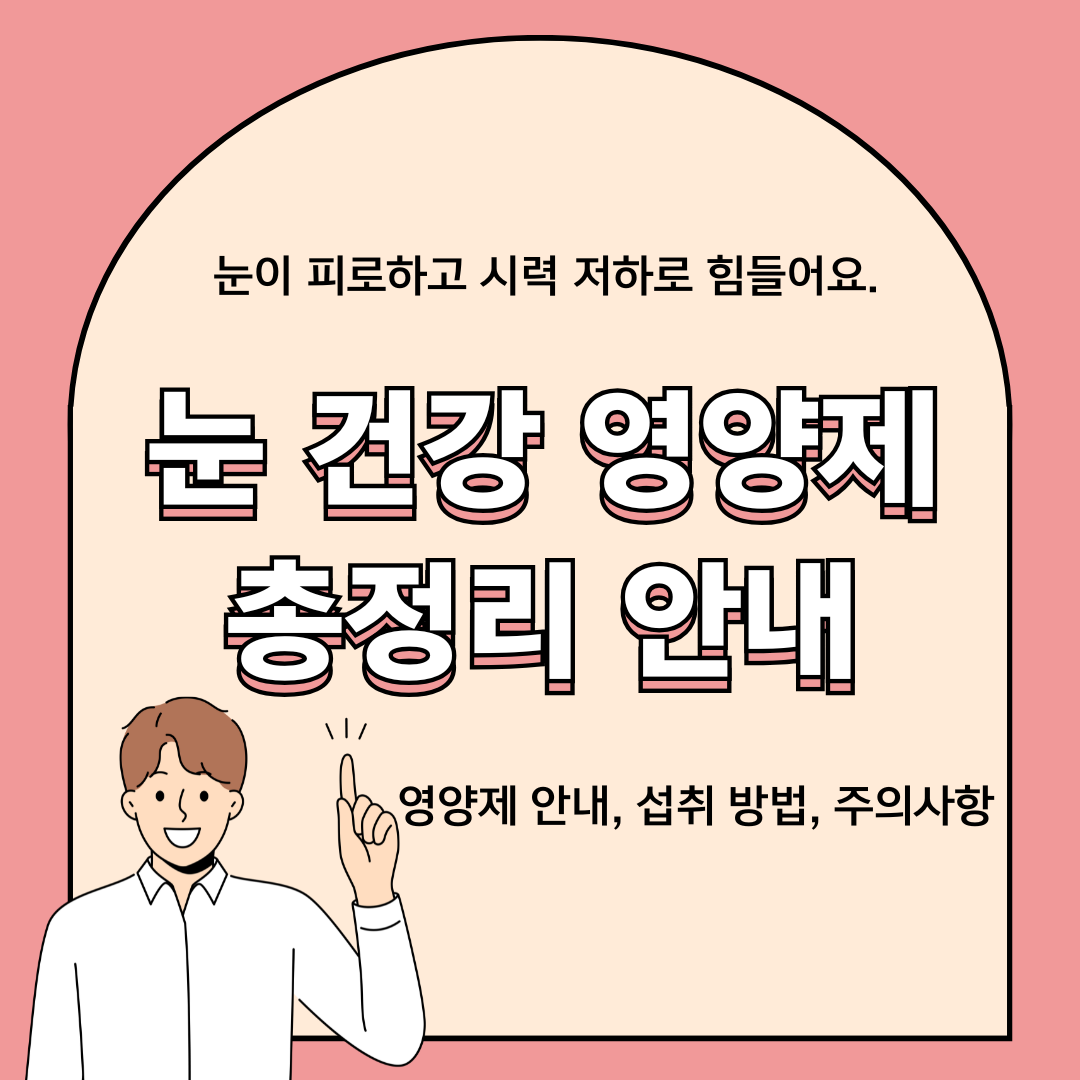 눈 건강 영양제 총정리 안내