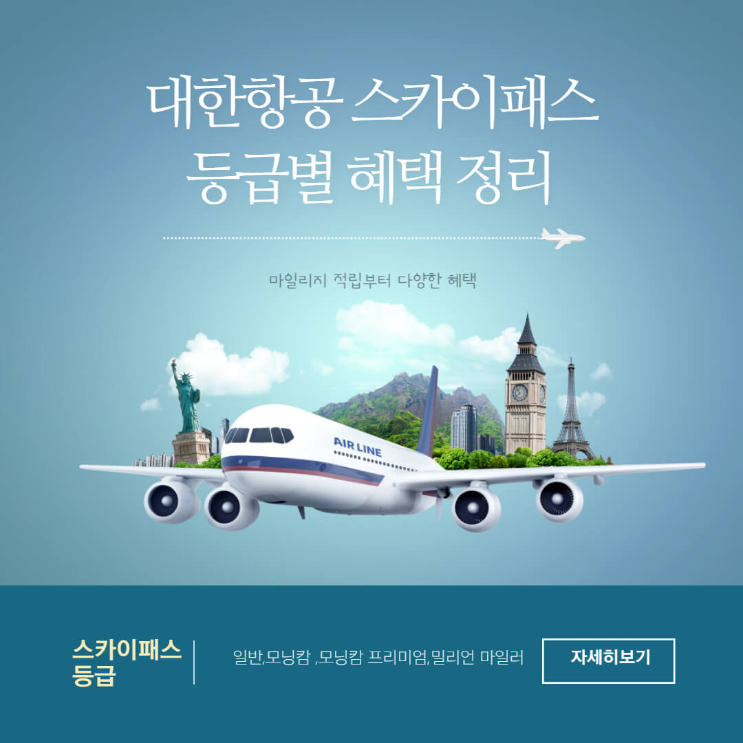 대한항공 멤버쉽 혜택 사진.비행기