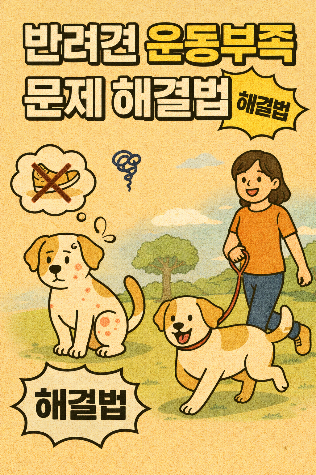 반려견 운동 부족 문제 해결법 관련사진