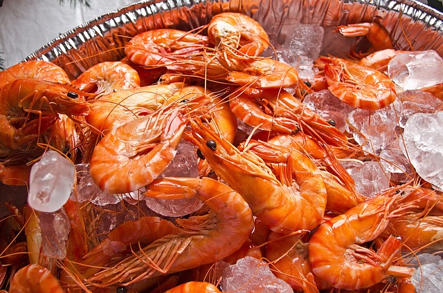 홍성 남당항 대하축제