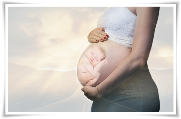 보험료를 전액 지원하는 출산 장려 공익 보험 "우체국 대한민국 엄마 보험"