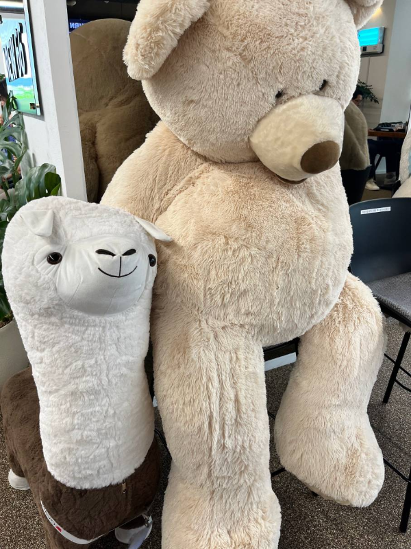 뷰66카페 점보곰인형